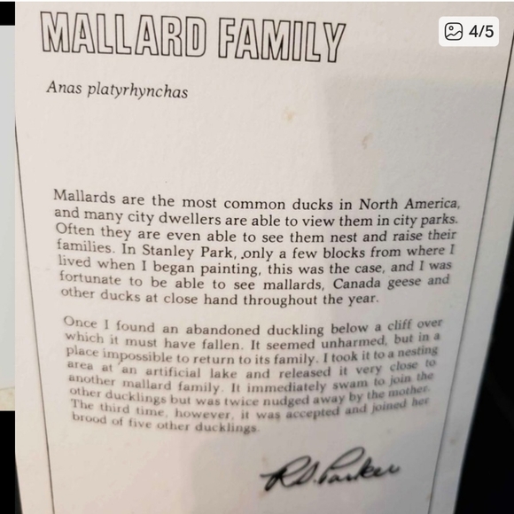 🦆Signed limited edition Ron Parker print "Mallard Family"🦆 (Unframed) - Picture 6 of 6